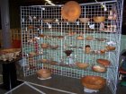 show stand.jpg