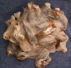 Willow burl.jpg