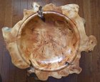 Willow burl inside.jpg