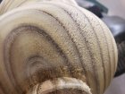 20181013_101952.jpg