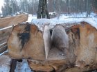 IMG_1417.JPG