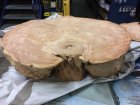 stool.jpg