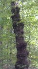 2016-09-05_11-09-02_441.jpg