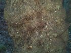 2016-09-04_19-04-14_822_small.jpg