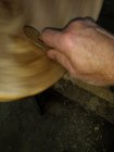 684591E0-DF50-4A7D-ABB1-60B73D8FE942.jpeg