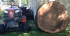 oaklog.jpg