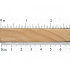 eastern-cottonwood-endgrain.jpg
