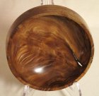 804-3 Desert Ironwood.JPG
