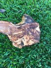splated trunk 2.jpg