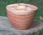 Cherry Hollow Form II-2.JPG