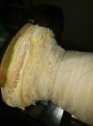 wood.jpg