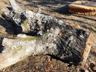 IMG_20191218_145958.jpg