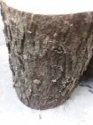 Wood.2.jpg Wood.2.jpg