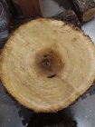 Wood.3.jpg Wood.3.jpg