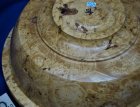 1787 maple burl (19).JPG