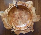 Willow burl now.jpg