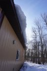 DSC00474.JPG