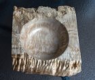 DSC03526.jpg