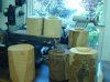 Blanks Standing Tall.jpg Blanks Standing Tall.jpg
