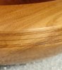 709-4 Desert Ironwood.JPG