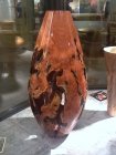 Miseltoemesquite burl(1).jpg