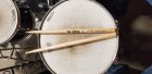 Drumstick.jpg