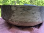 Spalted hickory3.jpg Spalted hickory3.jpg