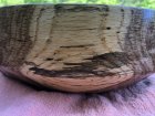 Spalted hickory2.jpg Spalted hickory2.jpg