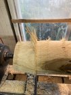 IMG_2626.jpeg