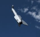 Hammerhead 002.JPG