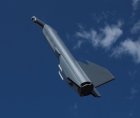 Hammerhead 006.JPG