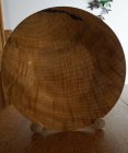 DSC00668.jpg