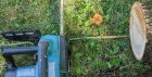 IMG_20200819_161235.jpg