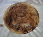1817 cottonwood burl (14).JPG