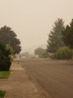 20200911_170935.jpg