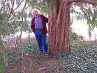 Yew tree and me.jpg