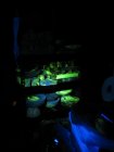IMG_3365.JPG