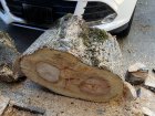 20201108_132429.jpg
