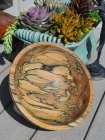 Spalted Sycamore 2 - finished.jpg