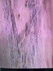 Mold.jpg