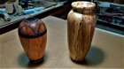10 inch tall cherry and 13plus tall sweet gum.jpg