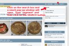 search.jpg