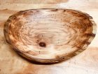 sycamore with ppb holes.JPG