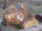 IMG_1374S.jpg