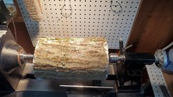 Oak Log.jpg