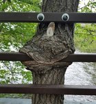 external-content.duckduckgo (2).jpg