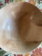 Maple..jpeg