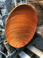 wood id - 1.jpeg