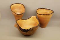 bradford Pear trio.jpg