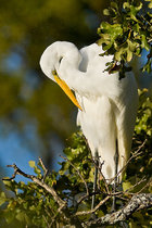 IMG_1054.jpg